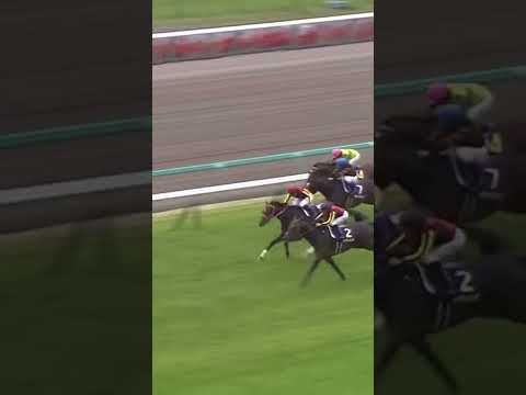 2015年　皐月賞　ドゥラメンテ