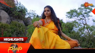 Nandini - Highlights of the day | Watch full EP Sun NXT | 30 Dec 2025 | Gemini TV
