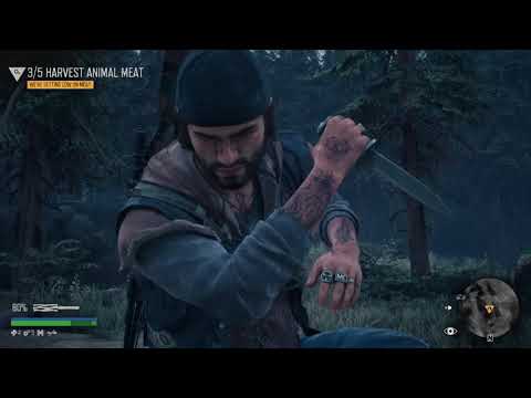 DAYS GONE 3 hrs in
