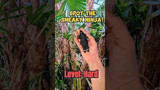Mini Paradise #SneakyNinja #Challenge #HiddenPuzzle #VisualHunt #Game #Fun #QuickEyes #MindChallenge