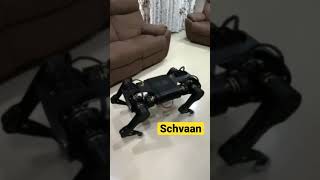 Schvaan testing phase!🦾🤖 #robotdog #schvaan #quadrupedrobot #robotics