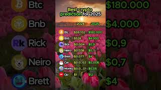 Crypto Experts Agree THIS is the Best Bullrun Strategy