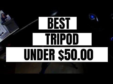 Best Tripod Under $50? (Tairoad Tripod Review)