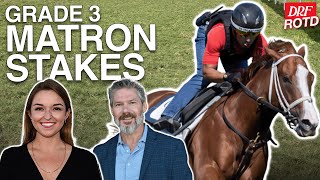 DRF Thursday Race of the Day | Grade 3 Matron Stakes | October 2, 2025