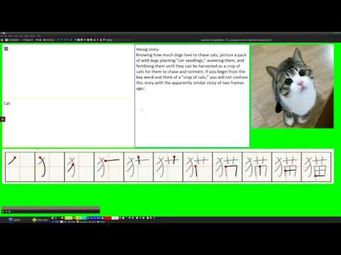 SuperMemo Templates: Creating Components
