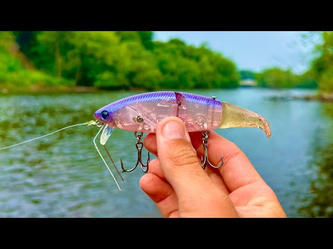 Fishing In Minnesota Is TOO Easy