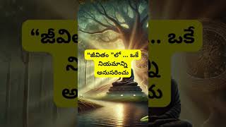 Be straight forward |  #motivation #nevergiveuphope #Positive thinking #Life advice #Positive energy