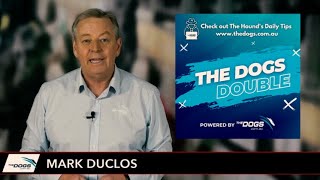 The Dogs Double - May 13
