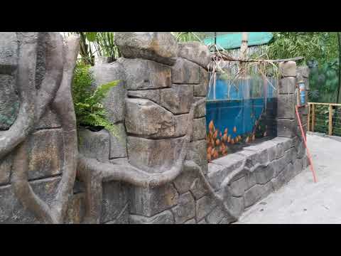 5000 liters Aquarium without biofilter
