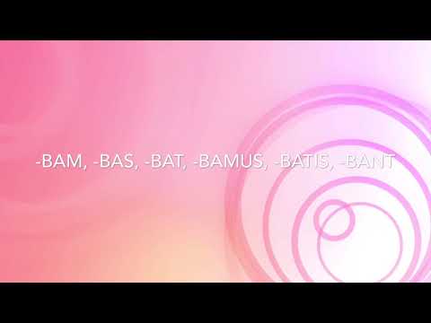 Bam, Bas, Bat