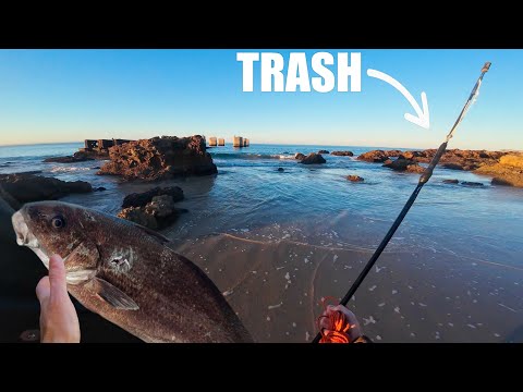 Diving for FREE FOOD with a TRASH POLE SPEAR (9% of you said this wouldn't work)