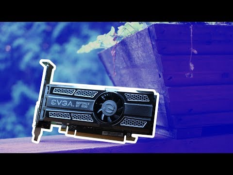 The Nvidia GT 1030 - Best Budget GPU Under $80?