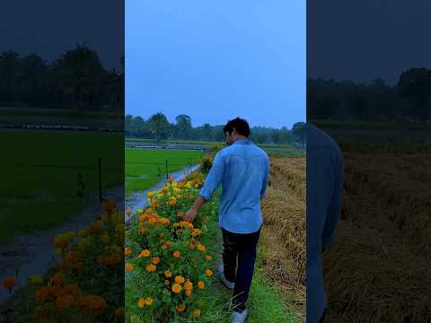 Kollengode Morning walk #nature #beautiful #sanoopphotography #palakkad