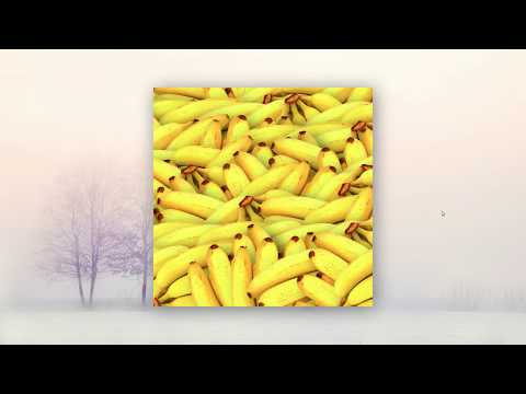 Amazing Image Gallery With Zooming Effect Using Only HTML & CSS