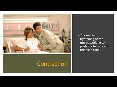 Childbirth Part II