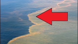 Environmental DISASTERS Caused by Humans
