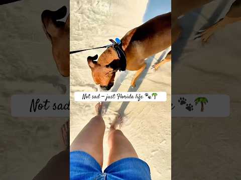 Florida life = everyday holiday 🌊☀️