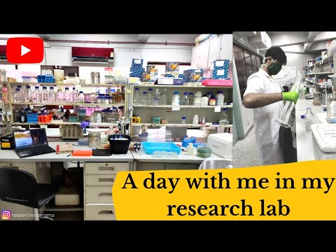 A day with me in my research lab