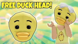 FREE Duck Head UGC! | The Roblox Learn Experience | All Hidden Ducks and Passwords | Riivv3r