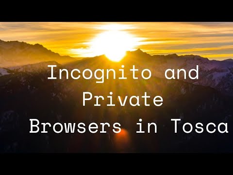 Chrome & IE secured Browsers: Why You Should Use Them #Tosca