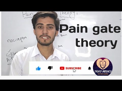 pain gate theory in electrotherapy |pain gate theory in urdu and hindi |concept of pain gate theory