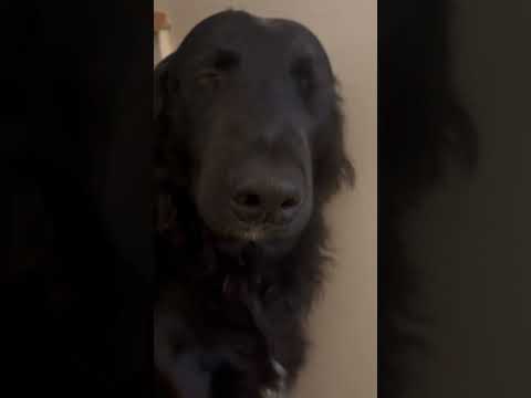 Theirs something u should know