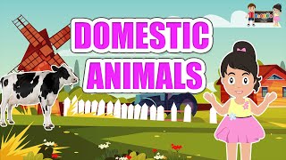 Domestic Animals | Domestic Animals for kids | KooBoo | English Kids Learning