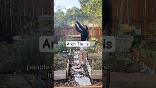 I love my mini arch trellis🪴👩‍🌾#gardendiy #diy #trellis