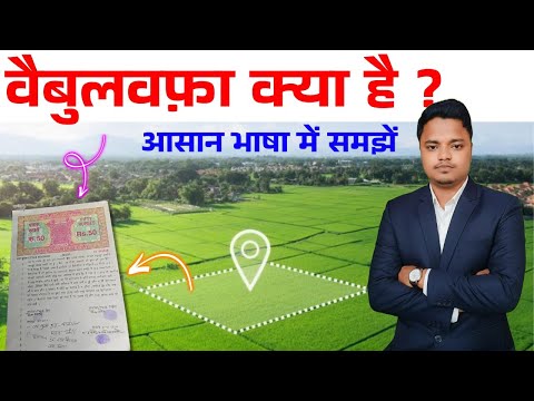 वैबुलवफा क्या होता है ? आसान भाषा में समझें 🔥