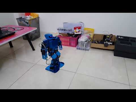Humanoid Robot (Robo-Soul H3S) - Workout Actions