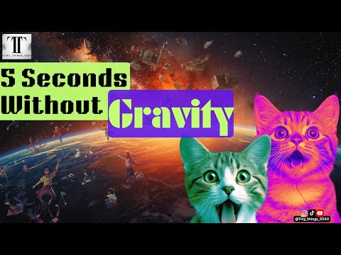 The Day Gravity Died | 5 Seconds Without #gravity @Tiny_things_5050 #trending #earth #youtubevideo
