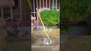 Easy science experiments for kids🧪#science#experiment#kids#learning#home#study#activity#viral#shorts