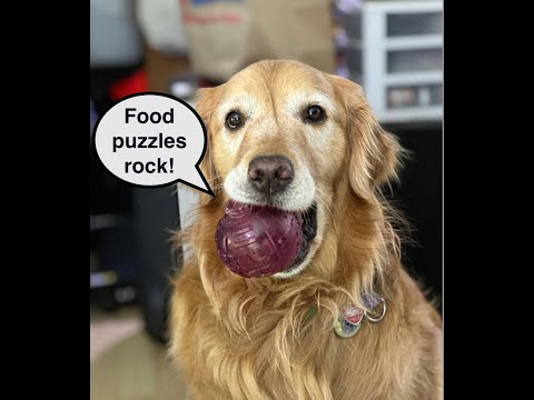 Flerken's food puzzle reviews: kong LOCKIT