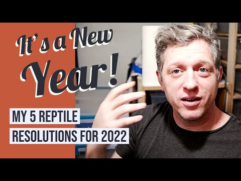 2022 Reptile and Business Goals - Looking for a bright future!