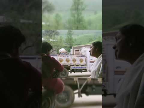 Dulquarsalman #shortfeed #dulquersalmaan #love #murnalthakur #kerala #sitaramam #mamootty