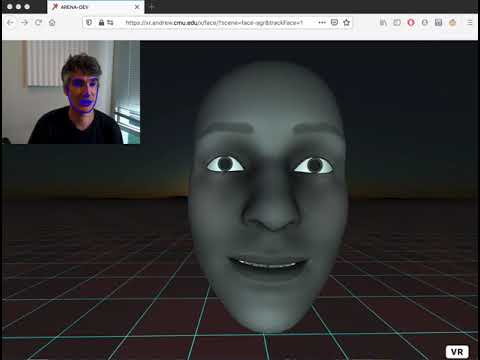 ARENA Real-Time Face Performance Capture