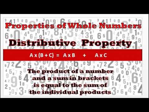 Properties of whole numbers (less than 1 min)