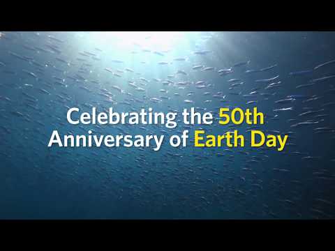 Nat Geo Wild to Inspire Short Film Contest 2020