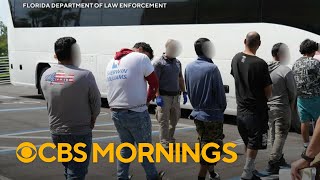 More than 1,000 detained in largest immigration enforcement operation in Florida history