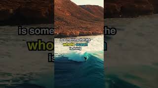 WHO ARE YOU REALLY | Alan Watts