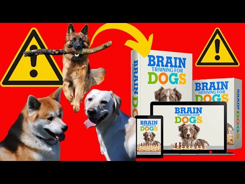 Discover the Secret to Dog Brain Training: A Revolutionary Review!