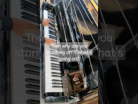 A conversation within the music - Liszt Mephisto Waltz