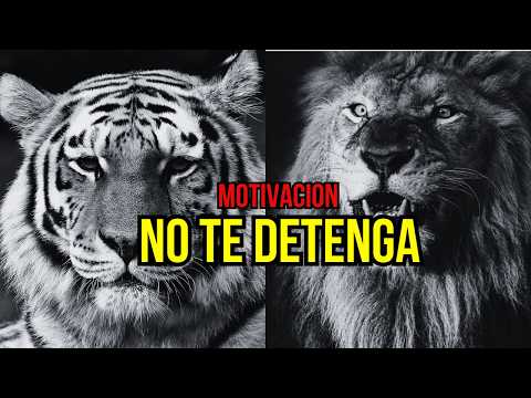 No Te Detengas Ahora, sigue Avanzando - Discurso #Motivacional