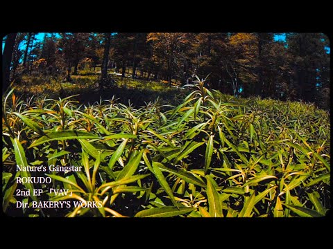 【MV】ROKUDO / Nature's Gangstar