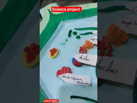 class 10th 9th science project #science #shorts #viral #sciencefacts #scienceexperiment #tranding