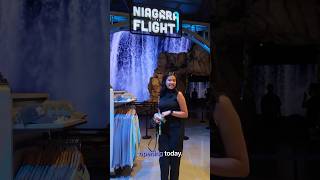 This NEW Niagara Falls Attraction Will Leave You Speechless 🇨🇦✨ #niagaratakesflight #niagarafalls