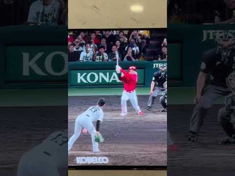 阪神優勝おめでとう！　#阪神タイガース#プロ野球 #岩崎優 #藤川監督 #優勝