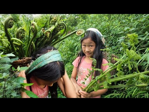The Best Way To Eat Forg || Life In The Eastern village Of Nepal ||