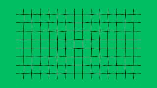Grid motion graphic green screen for lifestyle videos free