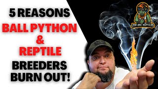 5 Things That Cause Reptile & Ball Python Breeders to Quit!